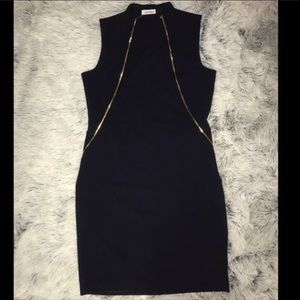 Calvin Klein Double Gold Zipper Dress